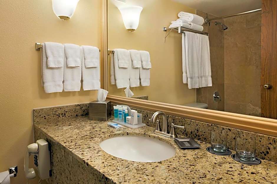 Wyndham El Paso Airport Hotel And Water Park