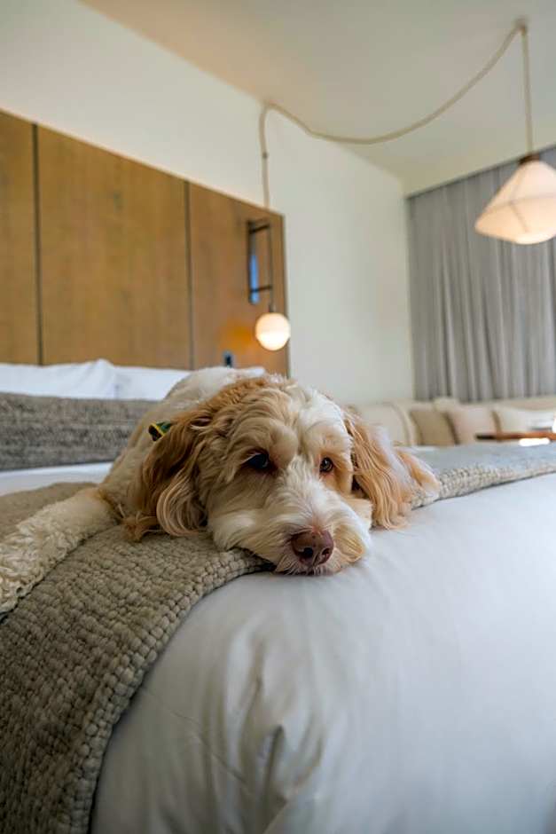 1 Hotel Seattle