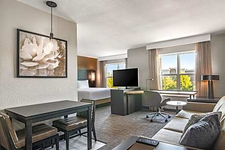 Studio, 1 King Bed with Sofa bed (1 King Bed and 1 Double Sofa Bed)