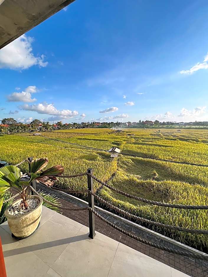 Canggu Hype