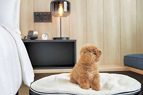 Dog Friendly, Guest Room, 2 Twin