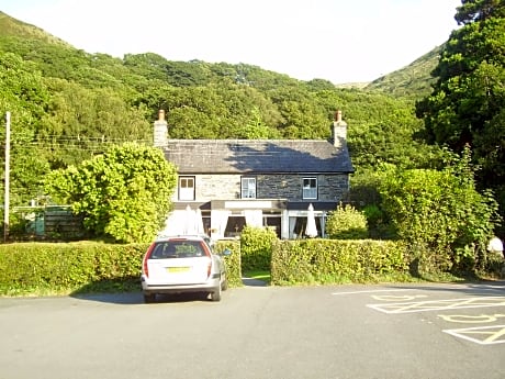 The Dolgoch