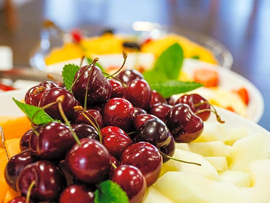 Hotel Paryski Art & Business Zakopane - Basen Jacuzzi Sauna Małpi Gaj