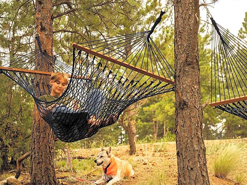 Trailborn Rocky Mountains