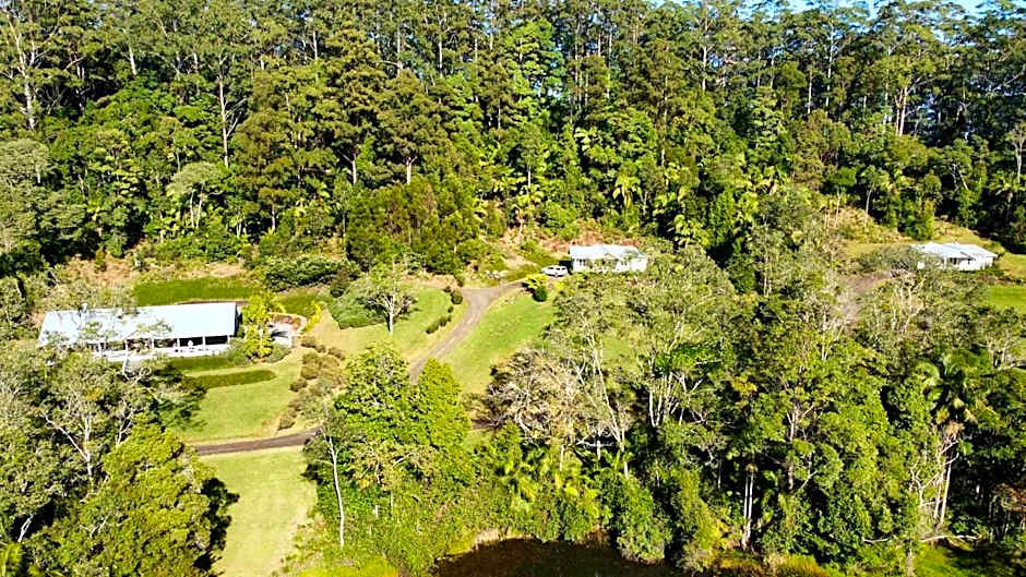 Nightcap Ridge - Byron Bay Hinterland