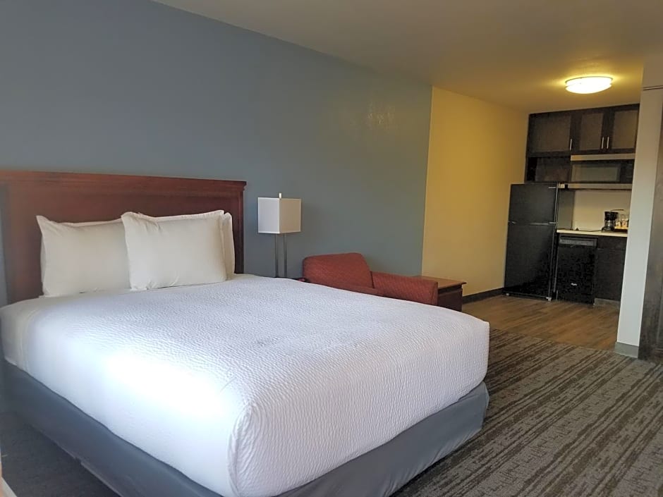 Hotel South Tampa & Suites