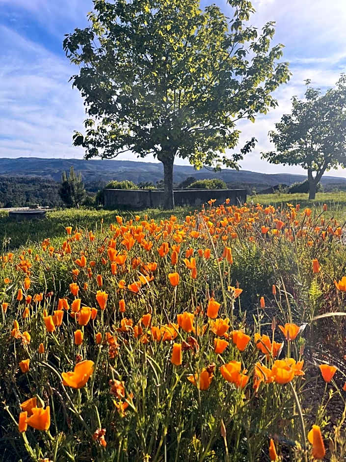Pensão Repouso do Peregrino