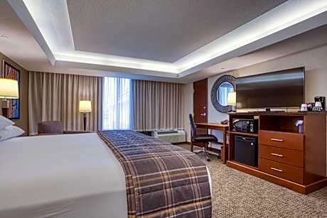 Deluxe King Room with Sofa Bed