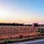 Antico Frantoio Cairoli B&B Exclusive Room