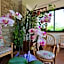 Hotel Versilia