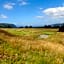 TWYNHAM at Kinloch