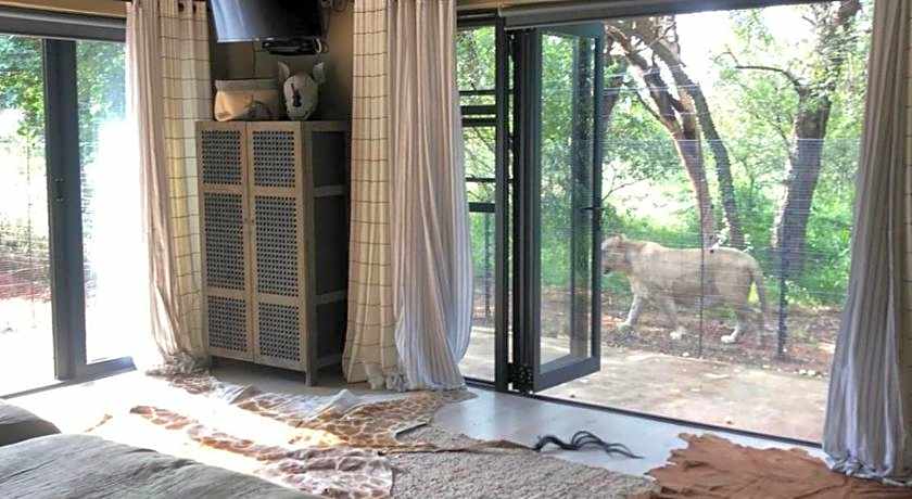 Simba Safaris African Pride Exotic Lodge