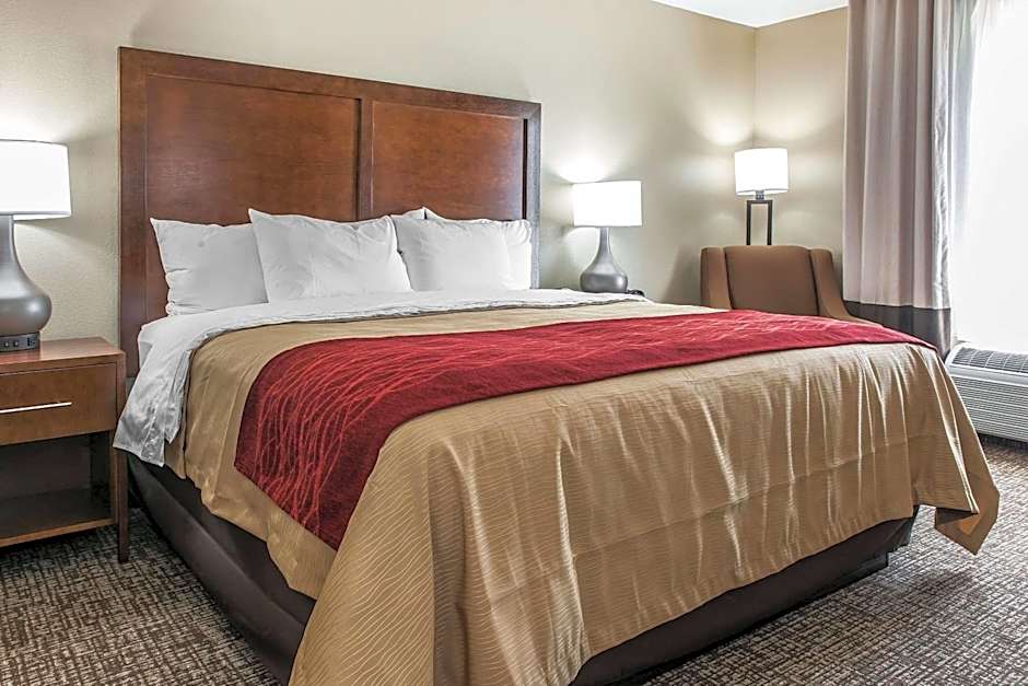 Comfort Inn & Suites Mount Sterling