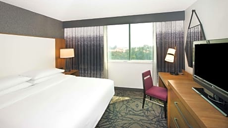2 Room Suite 1 King Bed