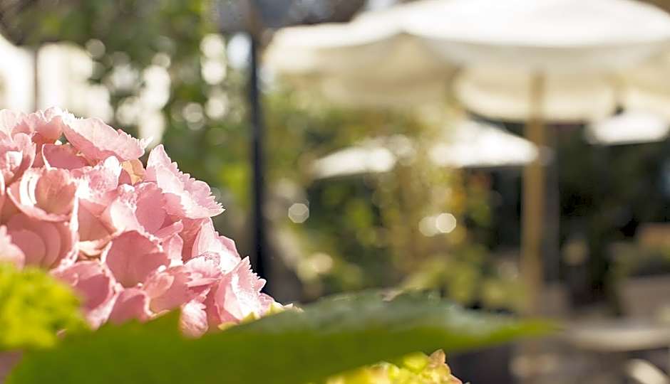 Hohen Hotel Viersen