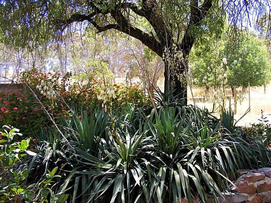 Trevalia Accommodation