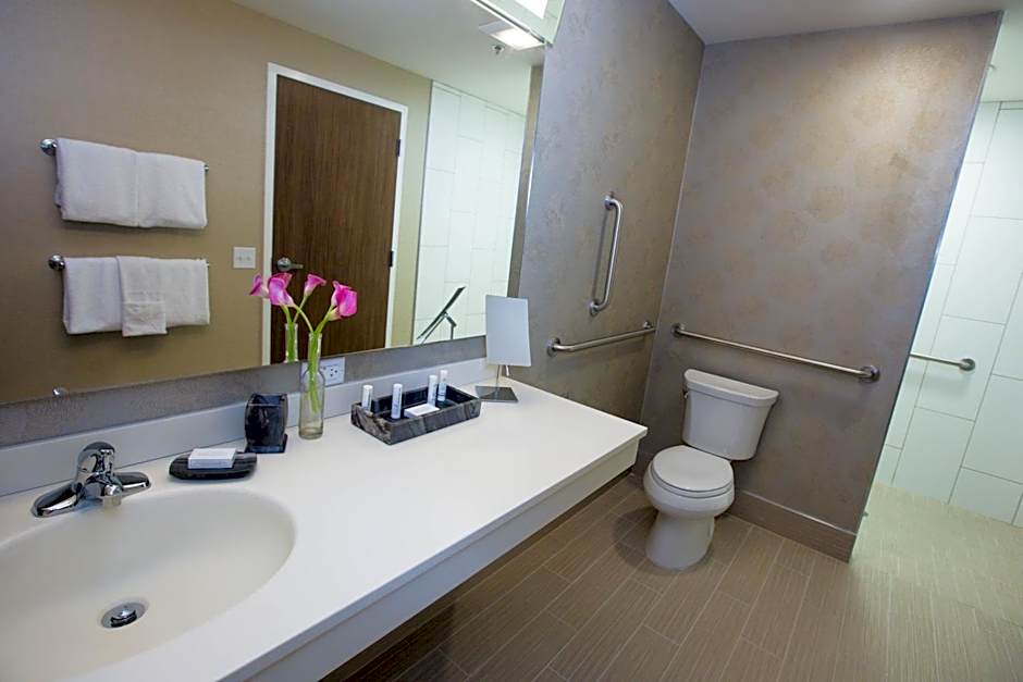 Courtyard by Marriott Philadelphia Springfield