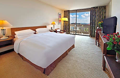 King Guest Room with Garden View