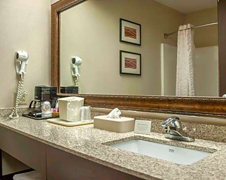 King Suite with Roll In Shower - Accessible/Non Smoking