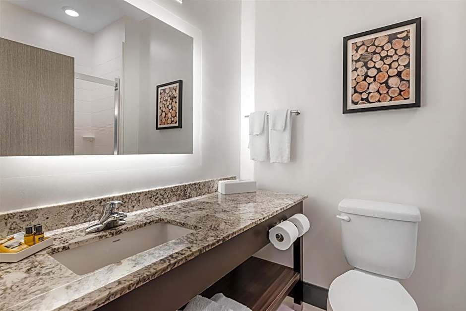 Best Western Plus Isanti