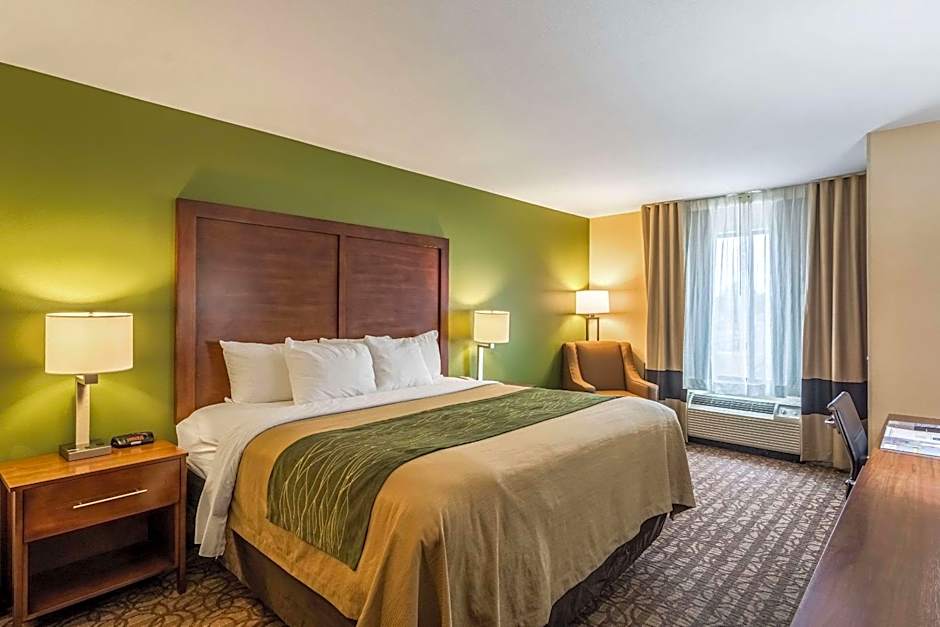 Comfort Inn & Suites Panama City North