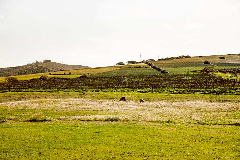 Lovane Boutique Wine Estate and Guesthouse