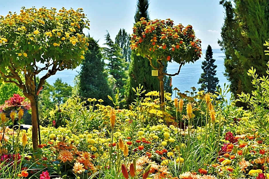 the niu Flower