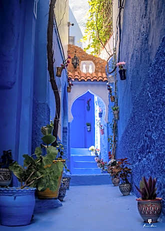 Casa Blue Star
