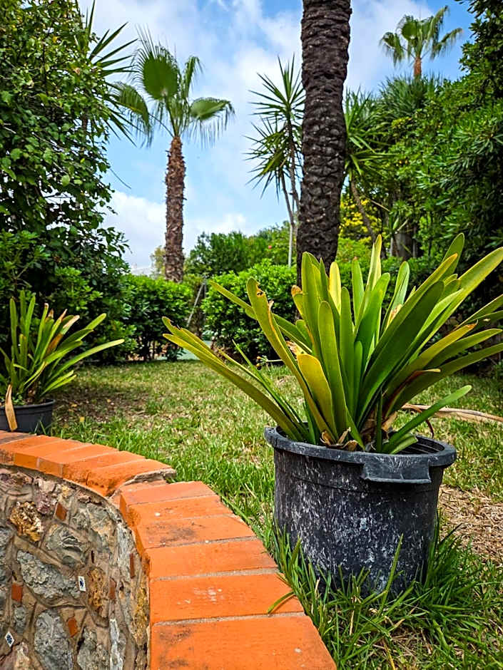 Hotel Jardín