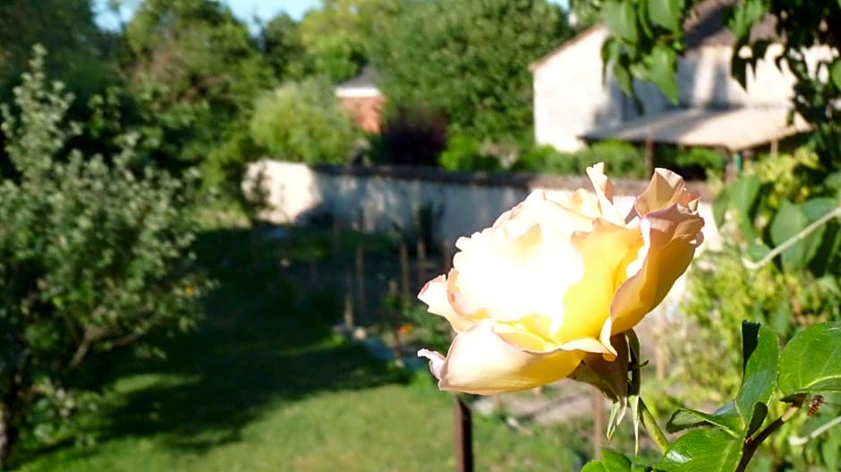 Chambres d'hôtes Coté Halles