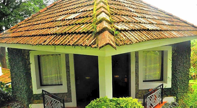 The Tall Trees Munnar