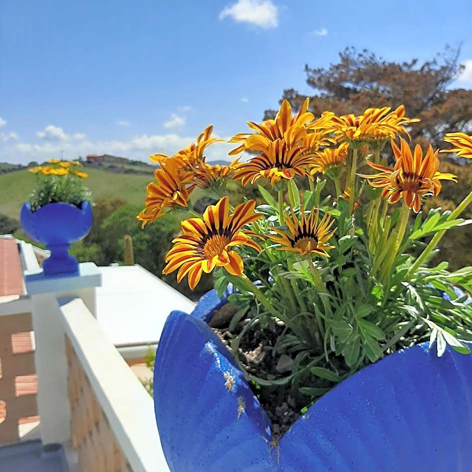 Lispusada Agriturismo Adults Only