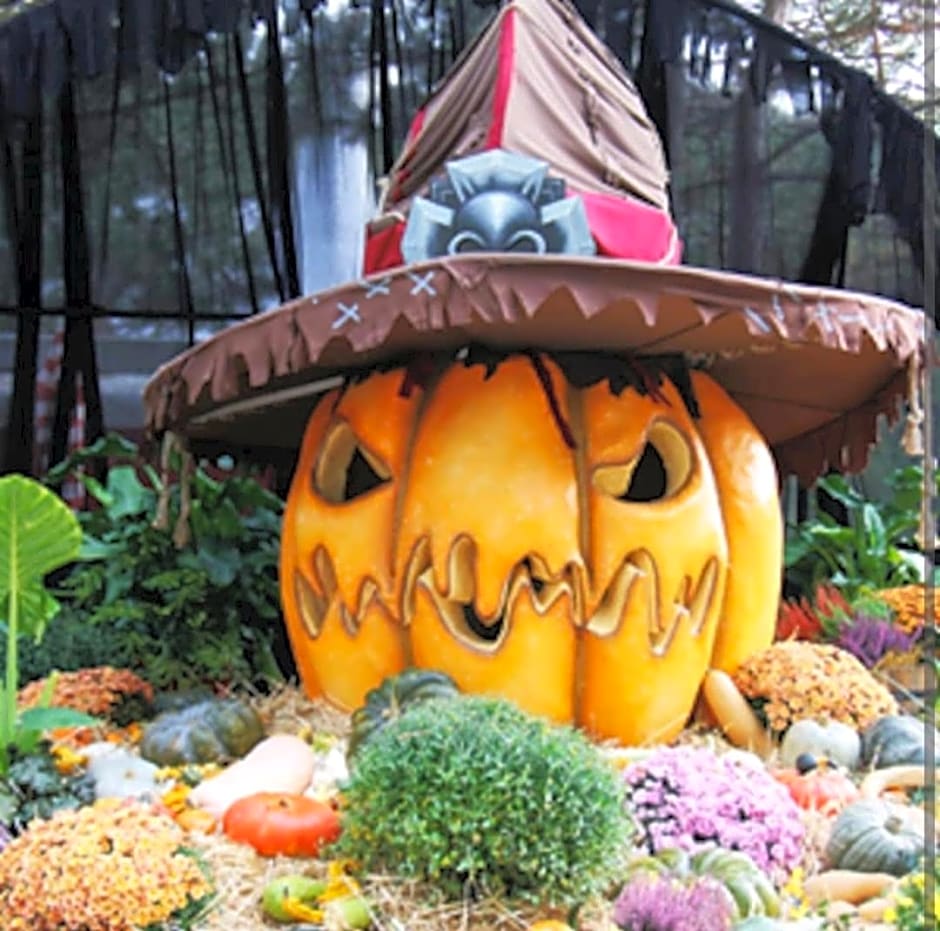 Les chambres touristique Juléa