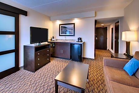 One-Bedroom King Suite