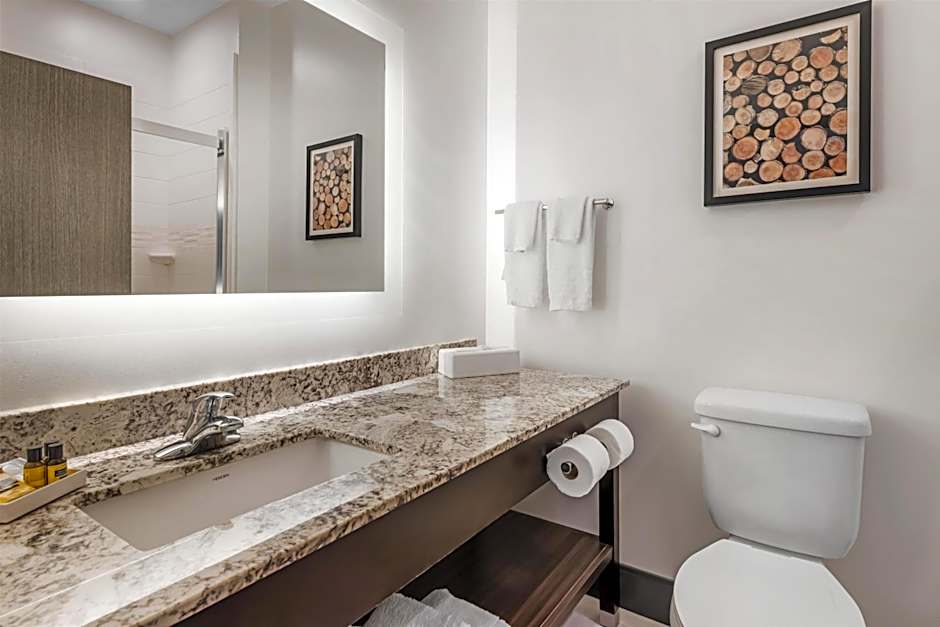 Best Western Plus Isanti