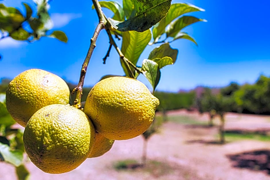 Agriturismo Karrares