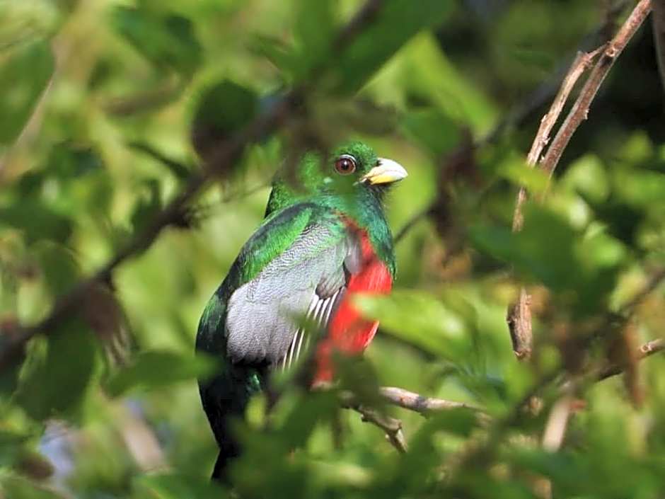 Hippo Waterfront Lodge