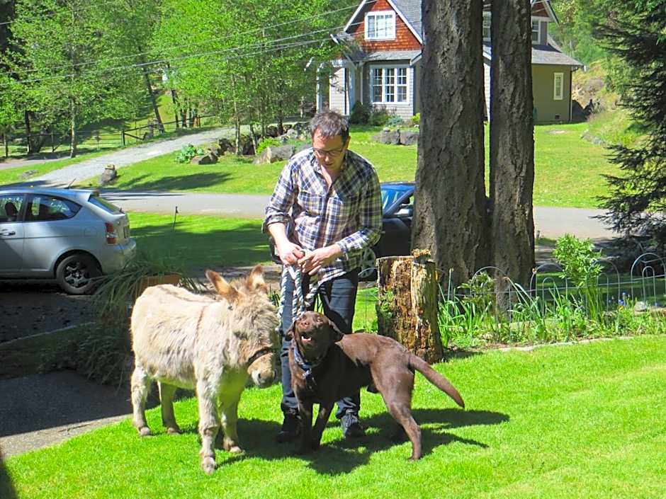 Misty Meadows B and B