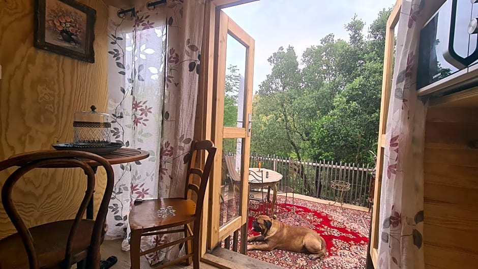 La roulotte au coeur du maquis