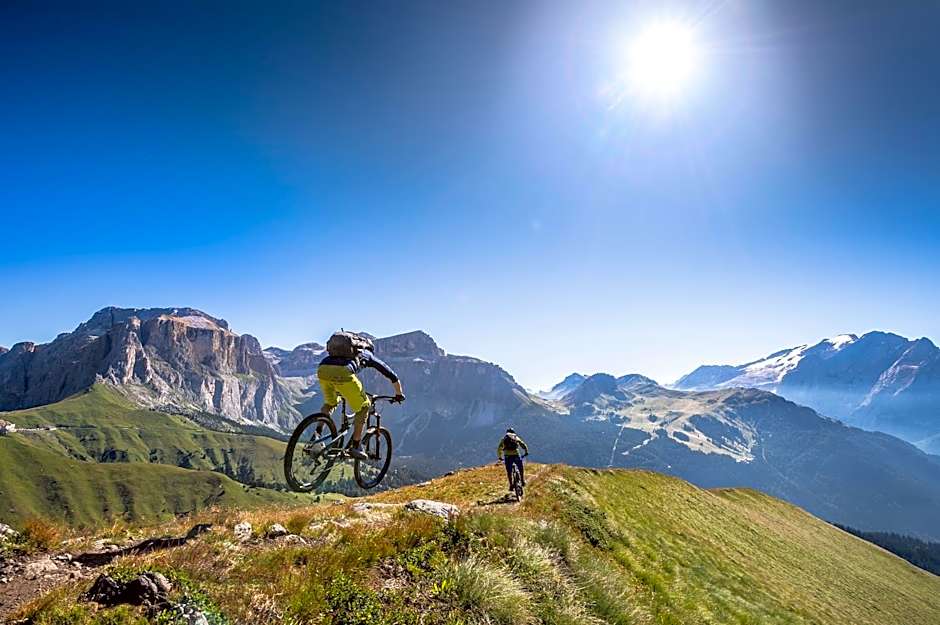 Chalet Pineta relax location