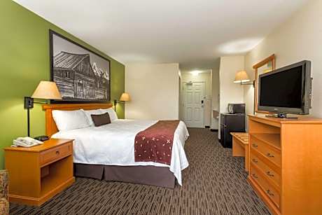 1 King Bed Non-Smoking
