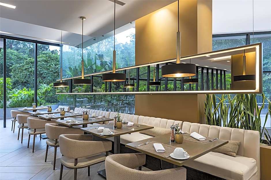 York Medellin, Curio Collection by Hilton