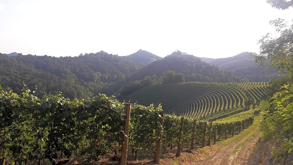 PocoBurro Ca' d'arte