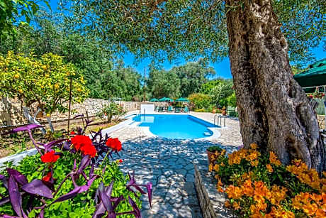 LIvadi Studios with Pool