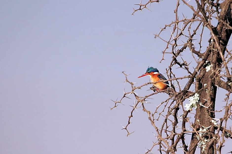 Leopard Mountain Safari Lodge