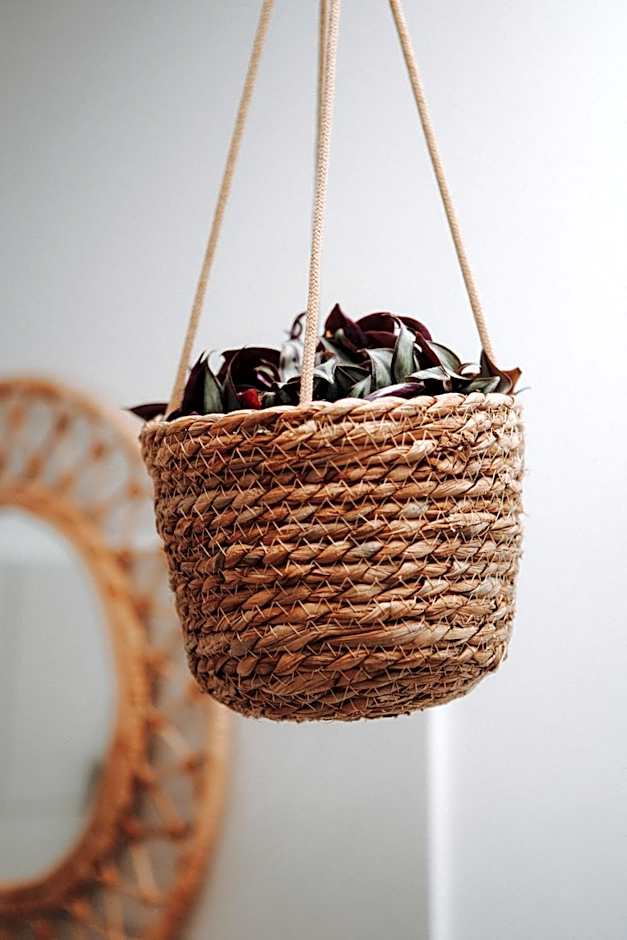 Surf & Yoga Retreats Fuerteventura