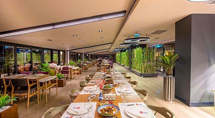 Holiday Inn Kayseri - Duvenonu By IHG