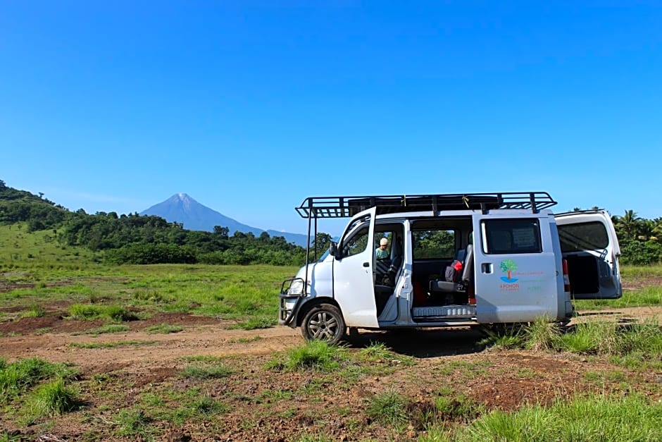 4 Pohon - Les 4 Arbres