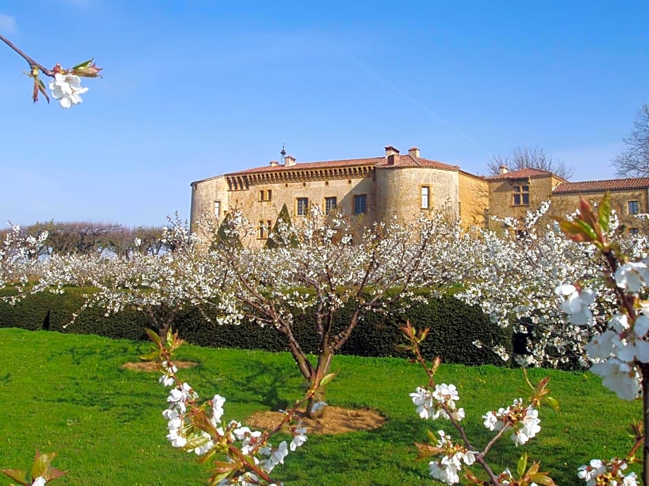 Chateau de Bagnols