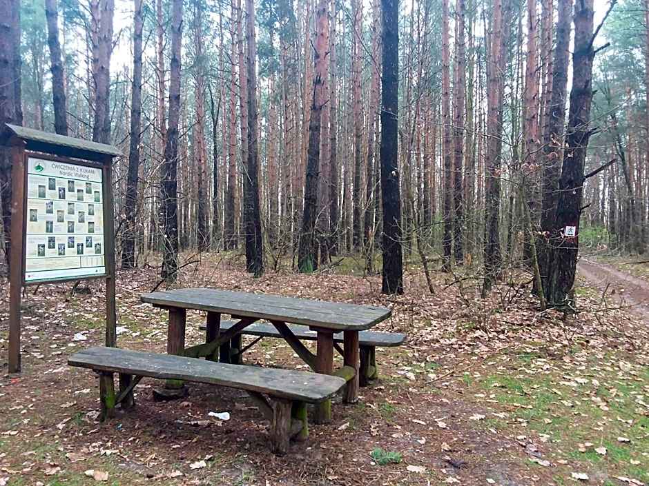 Dworek Akacja uslugi hotelarskie